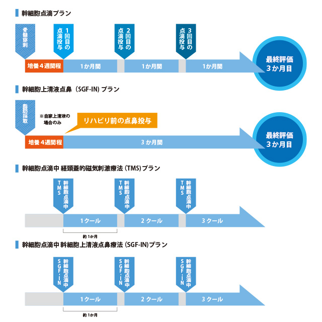 「同時リハビリ×再生医療™」治療プランの流れのイメージ画像