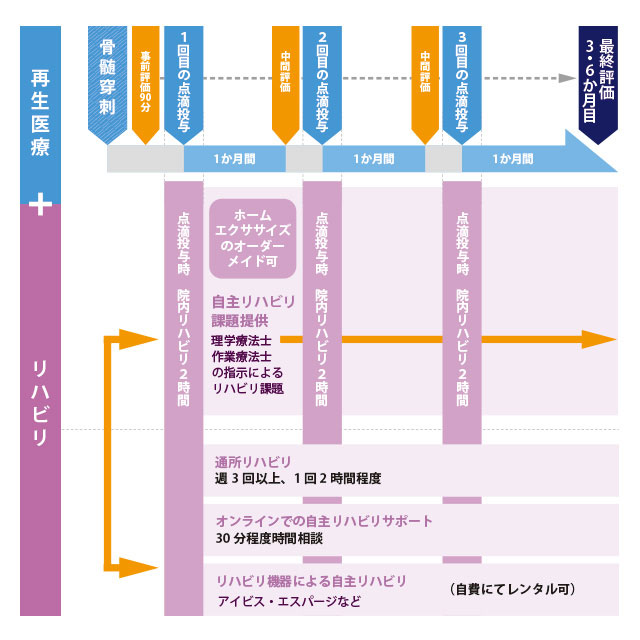 「同時リハビリ×再生医療™」治療プランの流れのイメージ画像