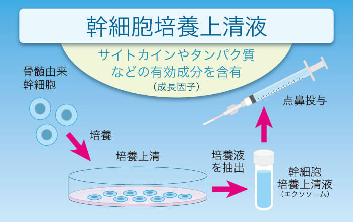 幹細胞培養上清液のイメージ画像