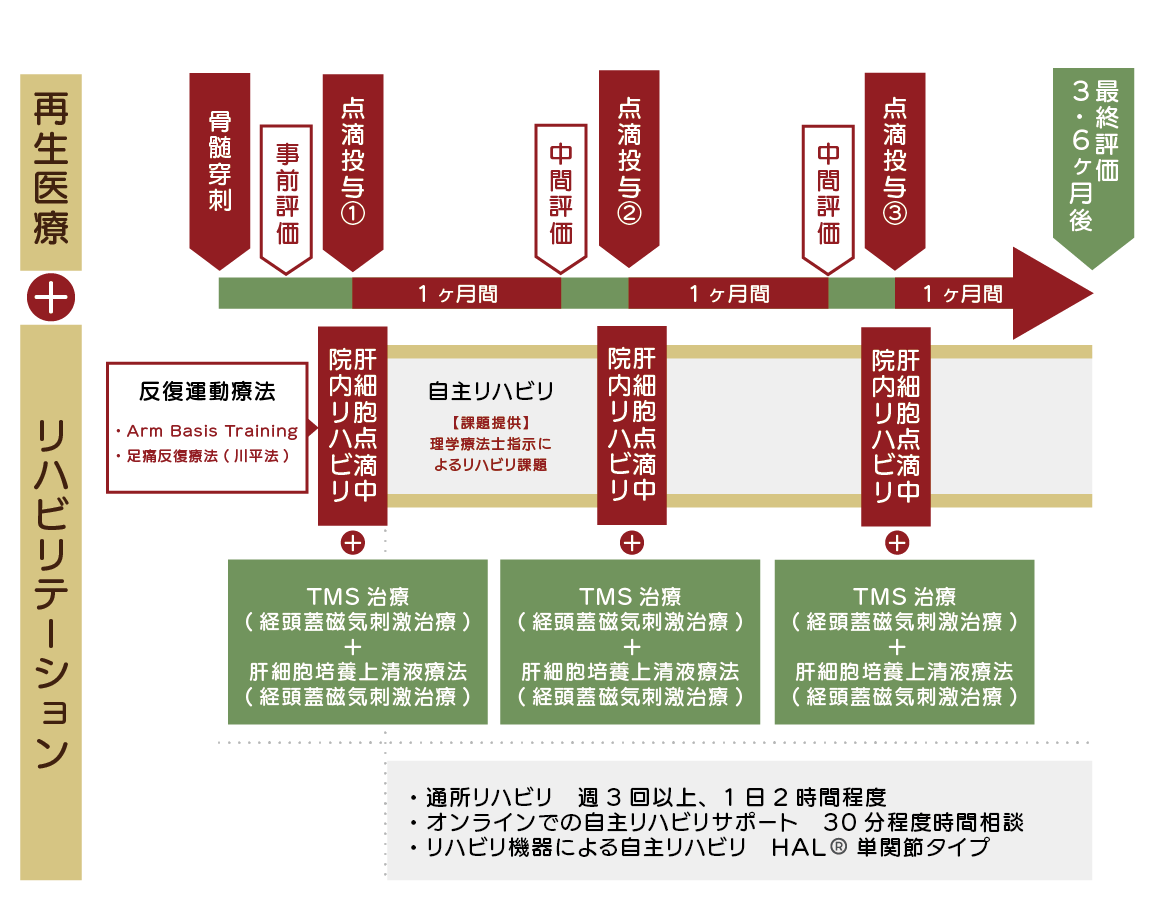リニューロスケジュール例
