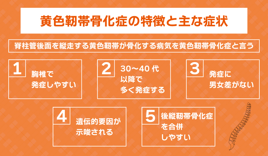 黄色靭帯骨化症の特徴と主な症状